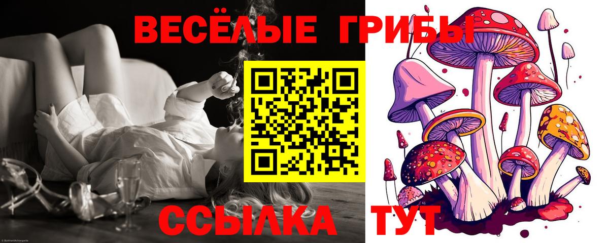 Псилоцибиновые грибы ЛСД  даркнет сайт  Городец  Вход с VPN 