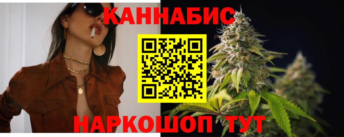 Бошки Шишки планчик Городец